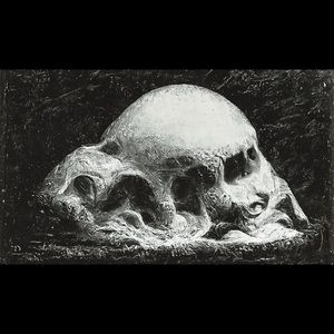 Meet your Posher, Bradley